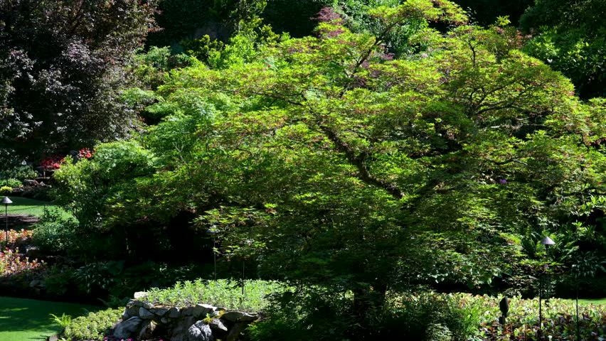 Beautiful summer view of Sunken Garden at Butchart Gardens on Vancouver Island, British Columbia, Canada, in horizontal format