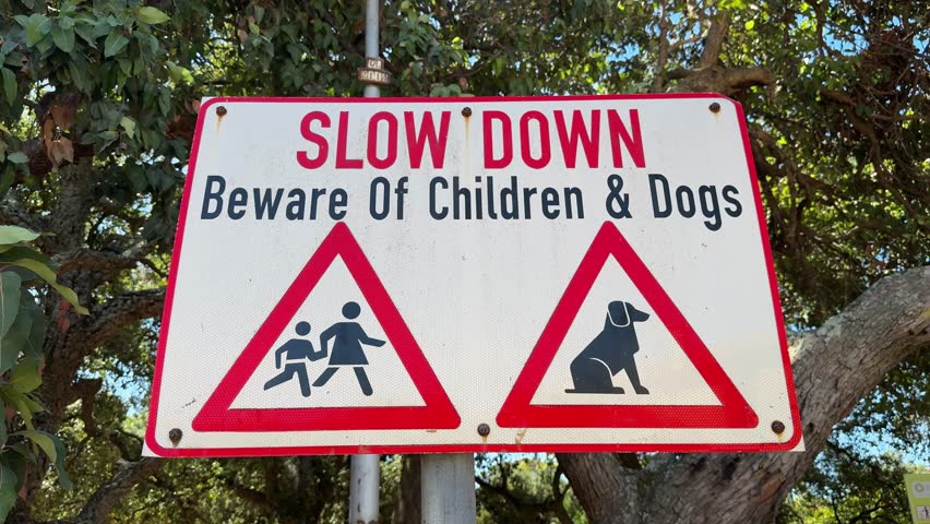 A sign in a park telling Drivers to be cautious of dogs and kids at a play park in Rondebosch, a suburb of Cape Town.