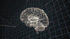 Animation of transparent brain model with mathematical equations and grid lines. Neuroscience, technology, mathematics, digital, futuristic, anatomy - Powered by Shutterstock - Get 15% off with code: PIKWIZARD15