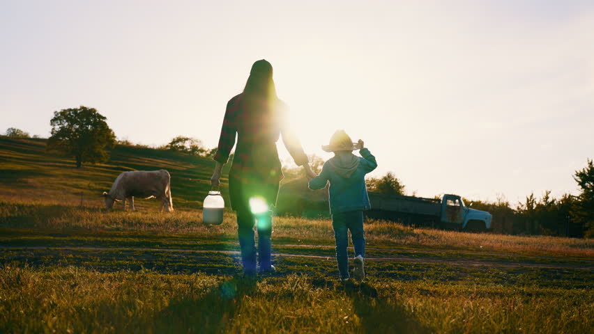 Morning in farm, adult woman and little son walking in field with grazing cow . Organic farming in ecological region, simple life and enjoy nature, back view of silhouette mother and child in sun