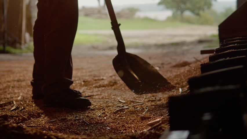 A worker skillfully gathers corn using a shovel in a bustling agricultural environment, showcasing the hard work involved in the grain harvesting process.