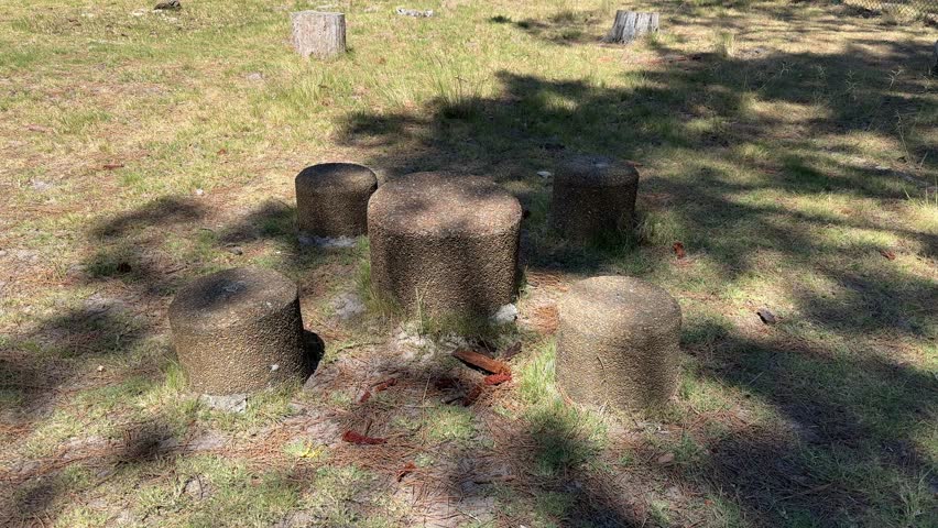 Makeshift picnic are under dappled shade light in a park in suburban Cape Town.