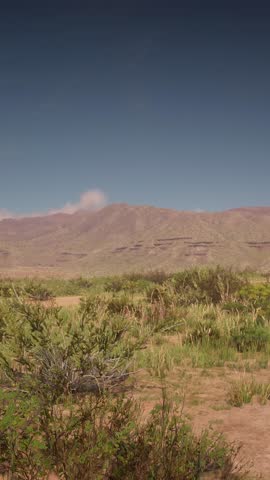 3D. USA. New Mexico. Panorama of Mountains with Wildlife