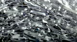 Papers scraps falling from a shredder fill up the screen. This transition takes