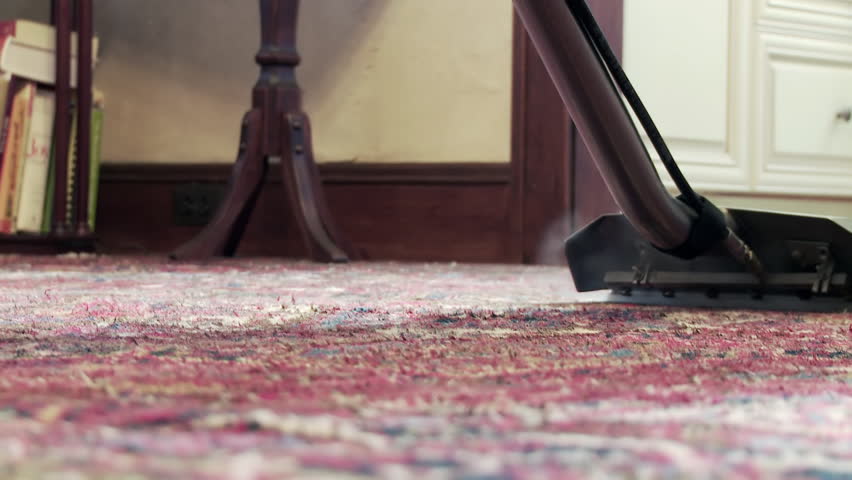 Cleaning a carpet with a steam wand, close up from the rear.