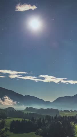 Shutterstock Video