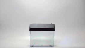 The destruction of the U.S. dollar with a schredor. A man's hand shoves money into a paper shredder. - Powered by Shutterstock - Get 15% off with code: PIKWIZARD15