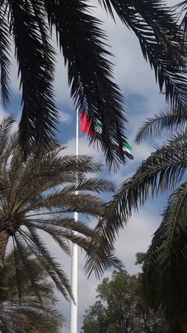 UAE flag waving in the cloudy sky between palm trees, national symbol of UAE. High quality 4k footage.