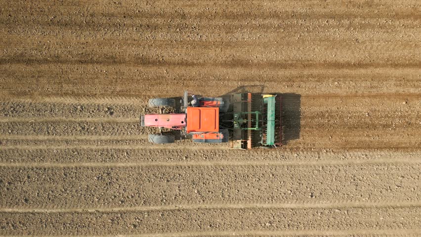 Vertical video. Top view of tractor sowing grain in the farm field