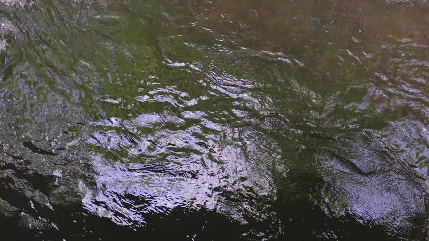 Aerial view of a flowing river with shimmering sunlight reflecting off the water. The natural movement creates a calming, dynamic texture, perfect for nature, relaxation, and environmental projects.