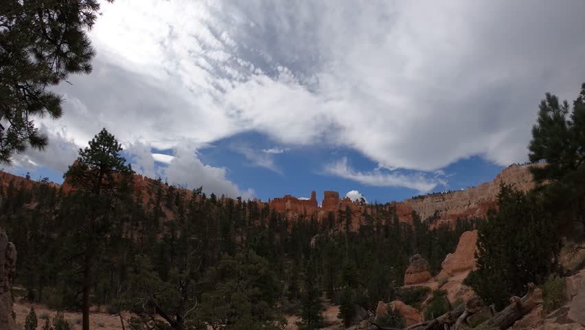 Timelapse, forested arid terrain, Bryce Canyon National Park, Utah, USA