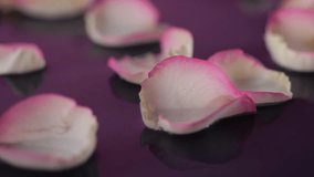 Delicate rose petals float gently on water in slow motion as droplets fall, creating ripples. The pink and white petals glisten with water, evoking a serene spa vibe. - Powered by Shutterstock - Get 15% off with code: PIKWIZARD15