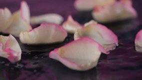 White-pink rose petals float gently on water as droplets fall in slow motion. A serene macro scene, evoking perfume crafting and exotic spa vibes. - Powered by Shutterstock - Get 15% off with code: PIKWIZARD15