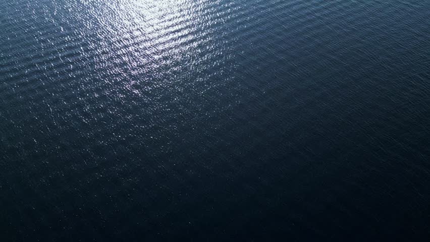 Shutterstock Video