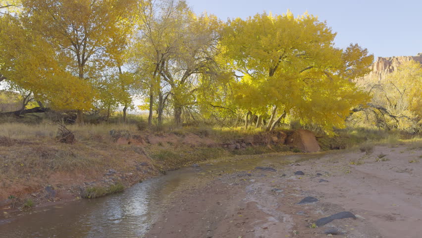 Wide shot of small river, yellow trees and blue sky during the day in Capitol Reef National Park, south-central Utah, USA