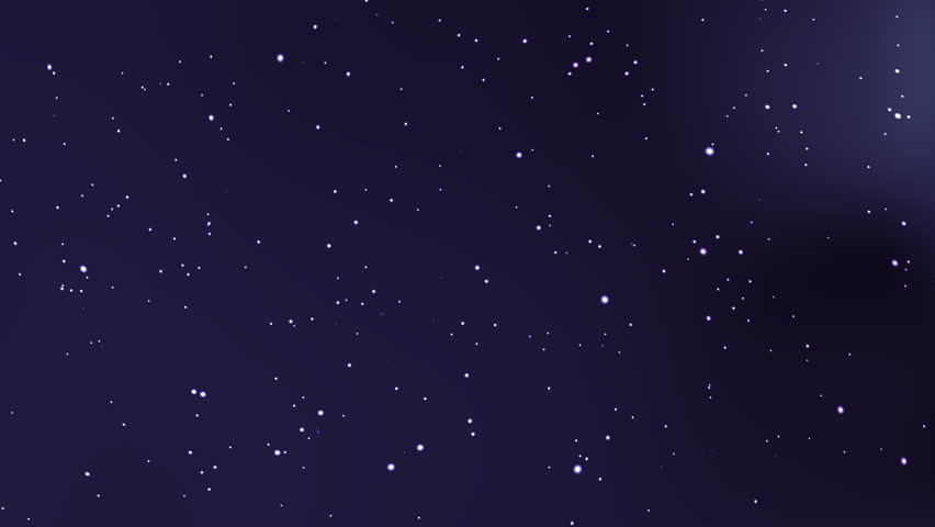 Shutterstock Video