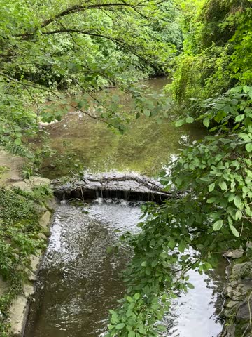 Park Waterfall, Nature, Stuttgart, Germany