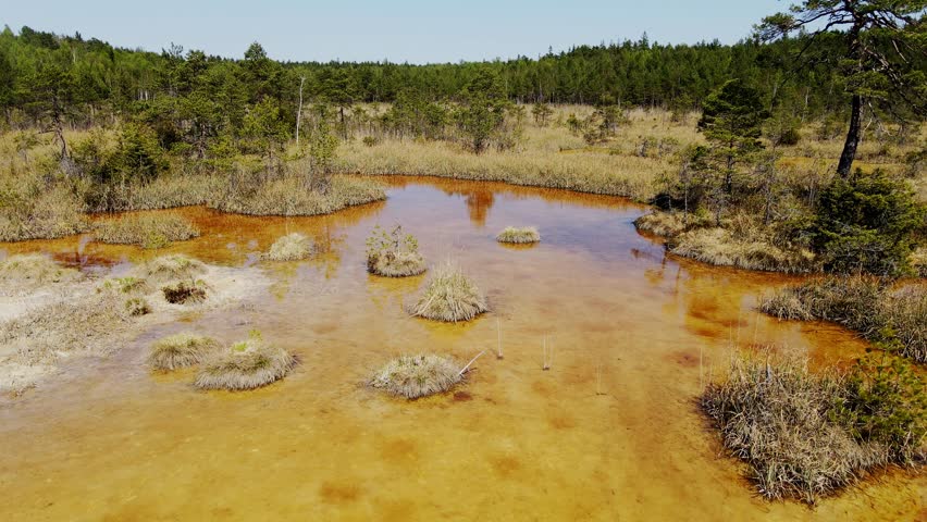 Unique marshland, mineral-rich sulfur pools creating a surreal natural landscape