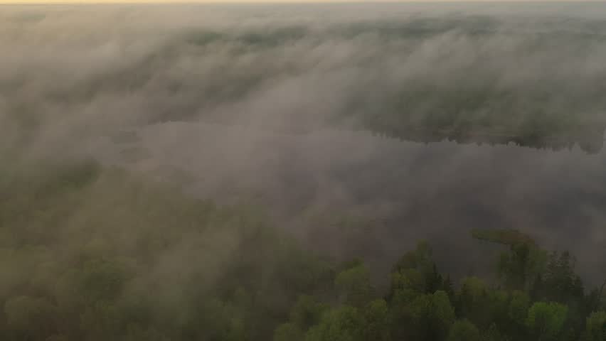 Morning foggy dawn in the Russian province over summer lakes
