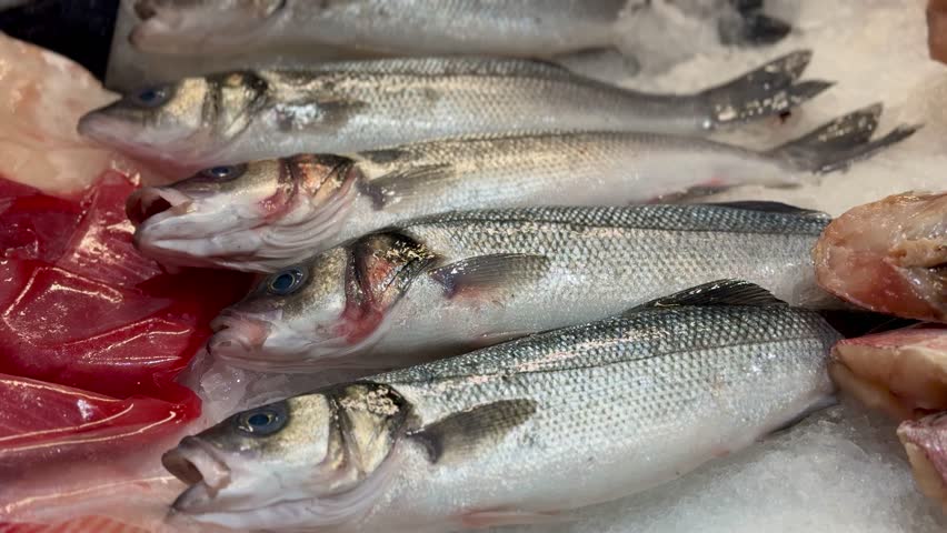 Small, young tunas, whole, with the head, chilled on shallow ice at the seafood market. An open shelf at the fish market. Close-up.