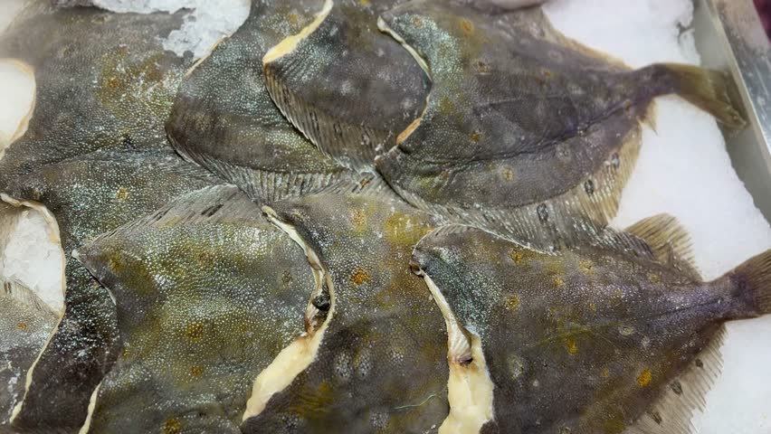 Large flounder and small young tuna, whole, with the head, chilled on shallow ice at the seafood market. An open shelf at the fish market. Close-up.