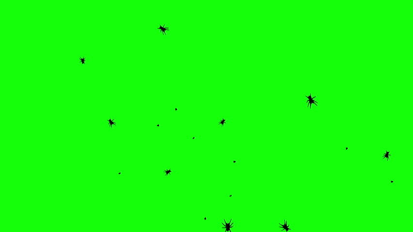 Shutterstock Video