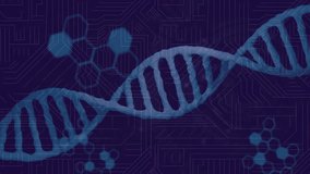 Processing scientific data, DNA strand intertwining with binary coding animation. Biotechnology, genetics, bioinformatics, digital science, innovation, research - Powered by Shutterstock - Get 15% off with code: PIKWIZARD15