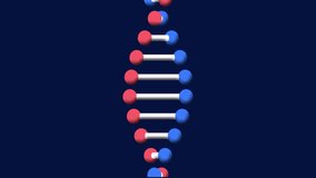 Processing scientific data, DNA strand with binary coding in animation concept. Biotechnology, genetics, bioinformatics, innovation, research, analysis - Powered by Shutterstock - Get 15% off with code: PIKWIZARD15