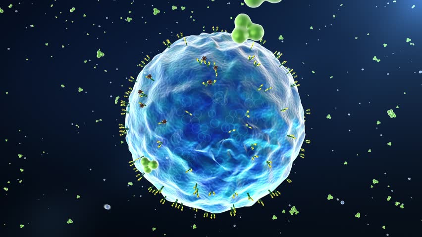 Drug molecules bind to receptors on immune cells, activating immune cells to kill tumor cells, immunology, antibody drugs.3d rendering.