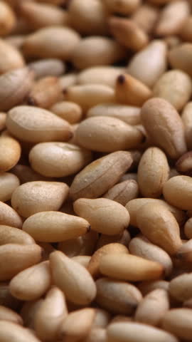 Closeup of white sesame seeds. Food ingredient concept.