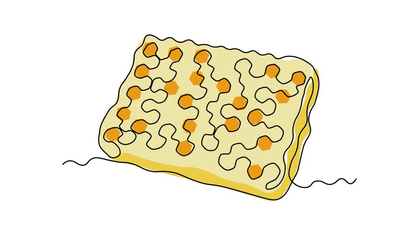 Abstract honeycomb with honey, Self drawing animation one continuous line draw, logo