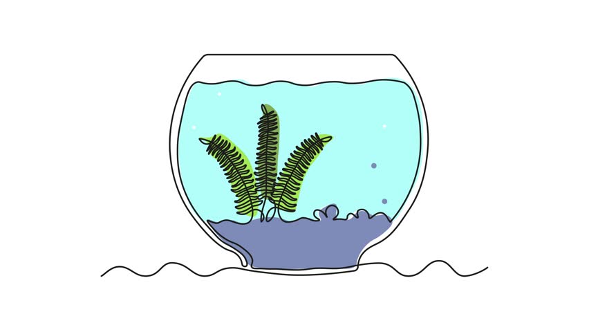 Abstract aquarium with algae, seaweed. Self drawing animation one continuous line draw, logo