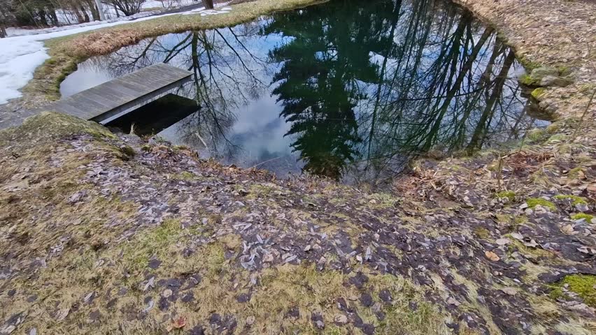 Pier for park visitors. two steps lead to it. planks terrace over water. Pond with a dock for boats. floor plan of a rectangle. the terrace has no railings., stone, green, algae, boat, duckweed, lawn