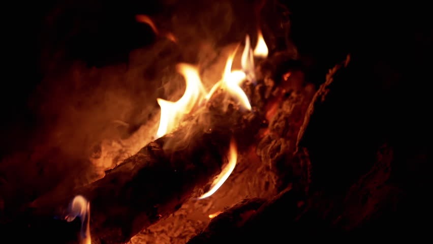Close-up shot of a burning log at night, highlighting the texture of the wood and the vibrant flames. Perfect for conveying themes of heat, energy, or wilderness.