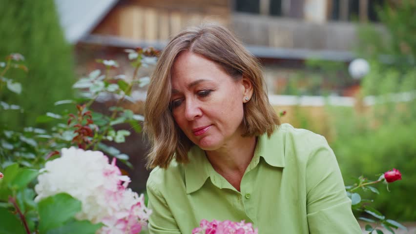 Middle aged gardener nurturing hydrangea flowers in lush garden, gently smelling and admiring delicate blossoms while experiencing peaceful botanical moment