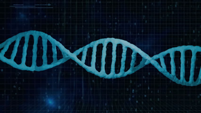 Scientific data processing, DNA strand with binary coding in animation. Genetics, biotechnology, innovation, code, sequencing, digital - Powered by Shutterstock - Get 15% off with code: PIKWIZARD15