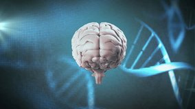 Animation of digital brain model with scientific data and molecular structures behind. Artificial intelligence, biotechnology, neural, science, futuristic, technology - Powered by Shutterstock - Get 15% off with code: PIKWIZARD15