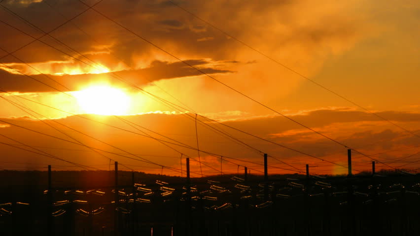 Sunset over electrical wires, HD time lapse clip