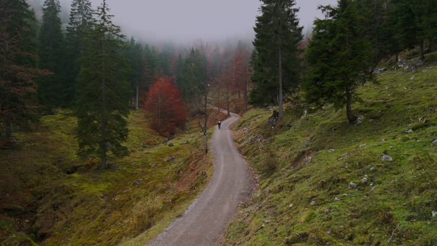 A male cyclist on a gravel bike rides uphill on a mountain road through a foggy autumn forest in Germany. Drone footage captures him cycling through the misty atmosphere of the Alps