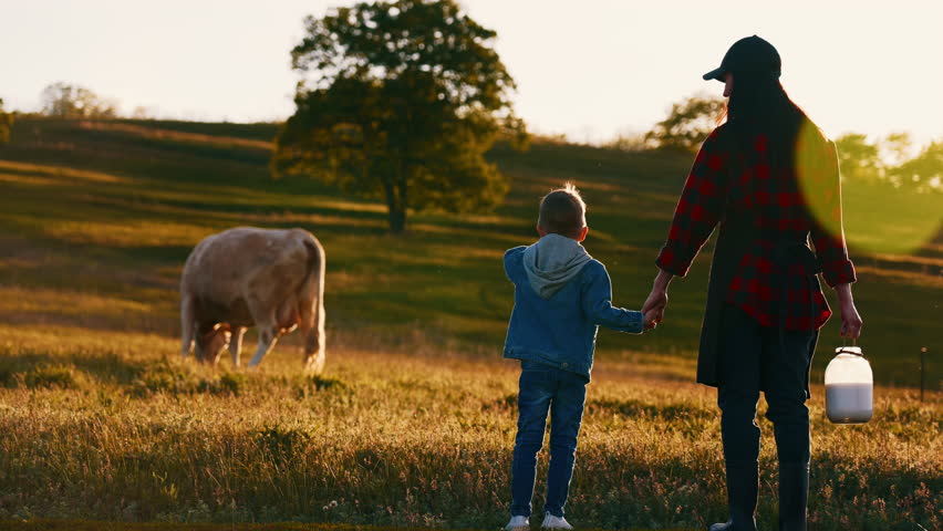 Farming and animal husbandry, woman and her child viewing scenery with cows. Back view of farmer family inspired by calm morning landscape in farm in summertime, organic milk production, natural foods