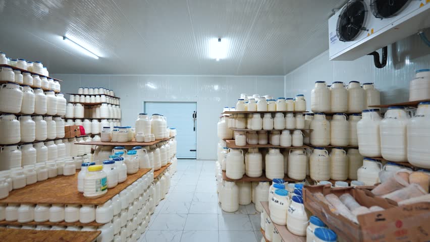 A row of plastic cheese storage bins placed on metal shelves in a temperature-controlled facility,ensuring product freshness.Designed for industrial dairy processing,and safe transportation of cheese.