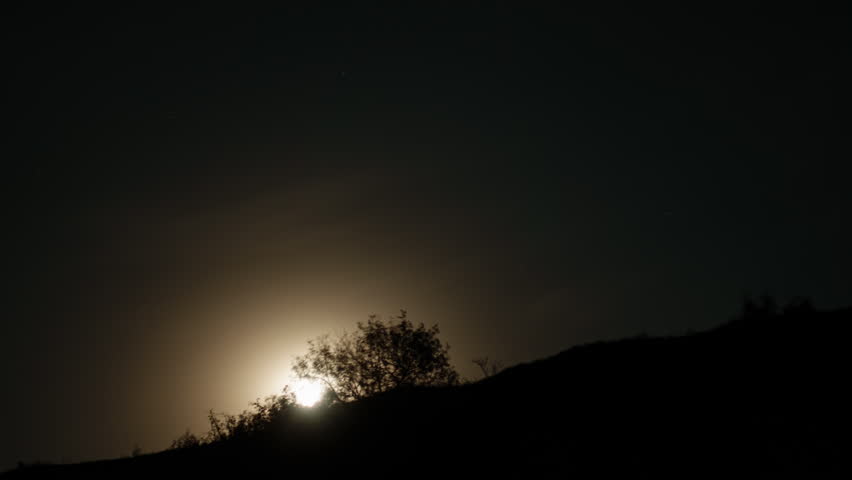 Moon Moves Over Night Forest Trees in Time Lapse at Nature Background in Mountains. Trees Silhouettes In The Foreground