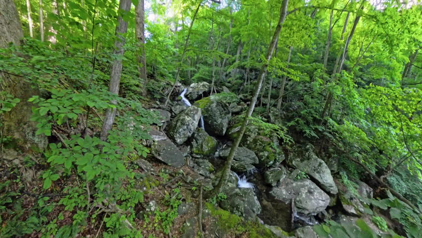Cedar Run Flows Through Pile of Rocks in Shenandoah National Park