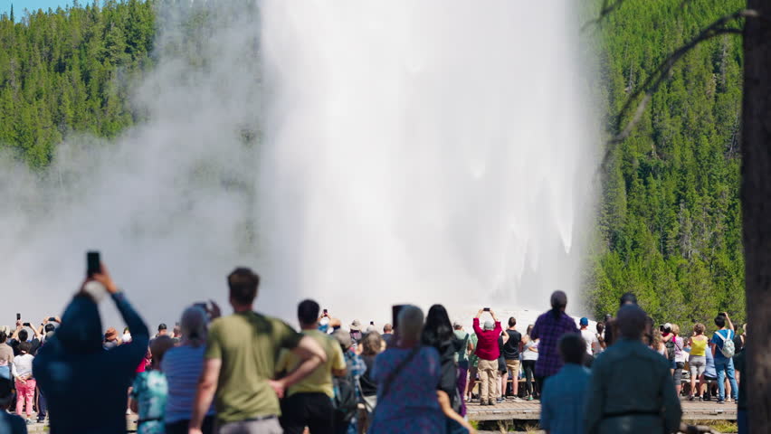Visitors gather at Yellowstone to witness Old Faithful’s powerful eruption, capturing the iconic geyser shooting steam and water skyward.