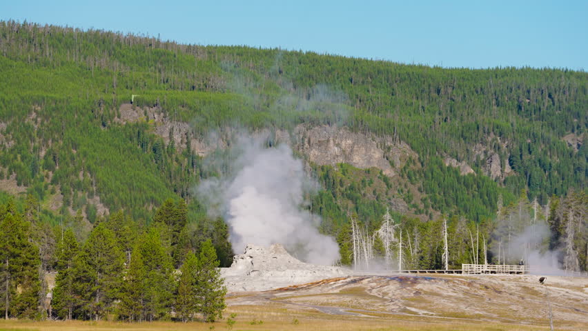 Yellowstone’s geysers steam into the crisp morning air, surrounded by lush forests bathed in soft, golden light, creating a serene landscape.