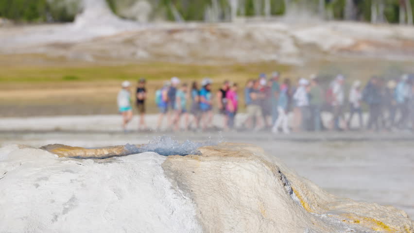Groups of visitors explore Yellowstone, strolling around active geysers and lush forests, immersed in the park
