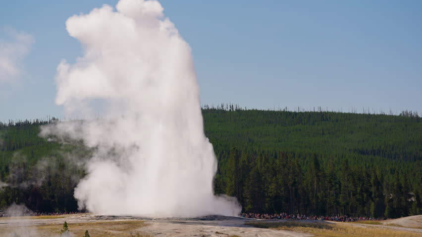 Old Faithful erupts powerfully in Yellowstone, with steam shooting into the sky as captivated crowds of visitors look on, marveling at the iconic spectacle.