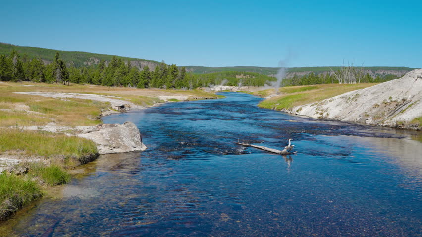 A peaceful river winds through Yellowstone’s lush forests, offering serene views and showcasing the park’s tranquil natural beauty and diverse wildlife.