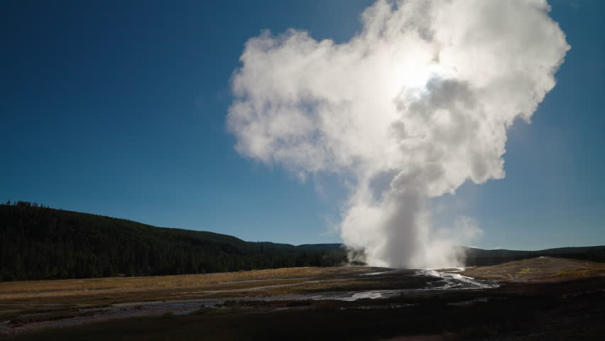 Steam rises over the forest from a Yellowstone geyser on a sunny summer day, enhancing the park