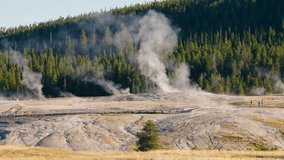 Steaming geysers and dense forests bathe in the soft morning light of Yellowstone, creating a tranquil and picturesque geothermal landscape. - Powered by Shutterstock - Get 15% off with code: PIKWIZARD15
